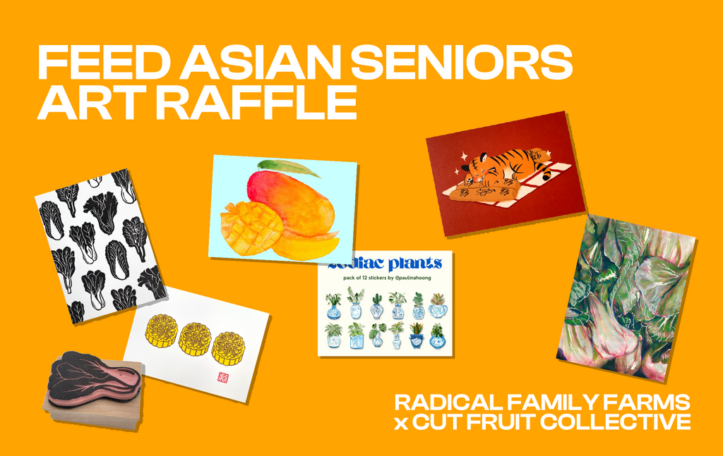 Feed Asian Seniors Art Raffle